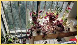 IMG_20190319_082411
